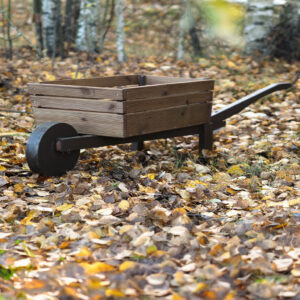 Koristekottikärryt puutarhaan kukille